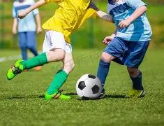 巴萨,奥萨苏纳,莱万,博鱼体育官网,博鱼体育app,博鱼体育APP下载