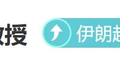 上海女子篮球队崛起：传奇巾帼英雄的启示录