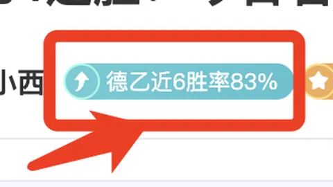 多面手若卡：兼具技能与智慧的足球战士